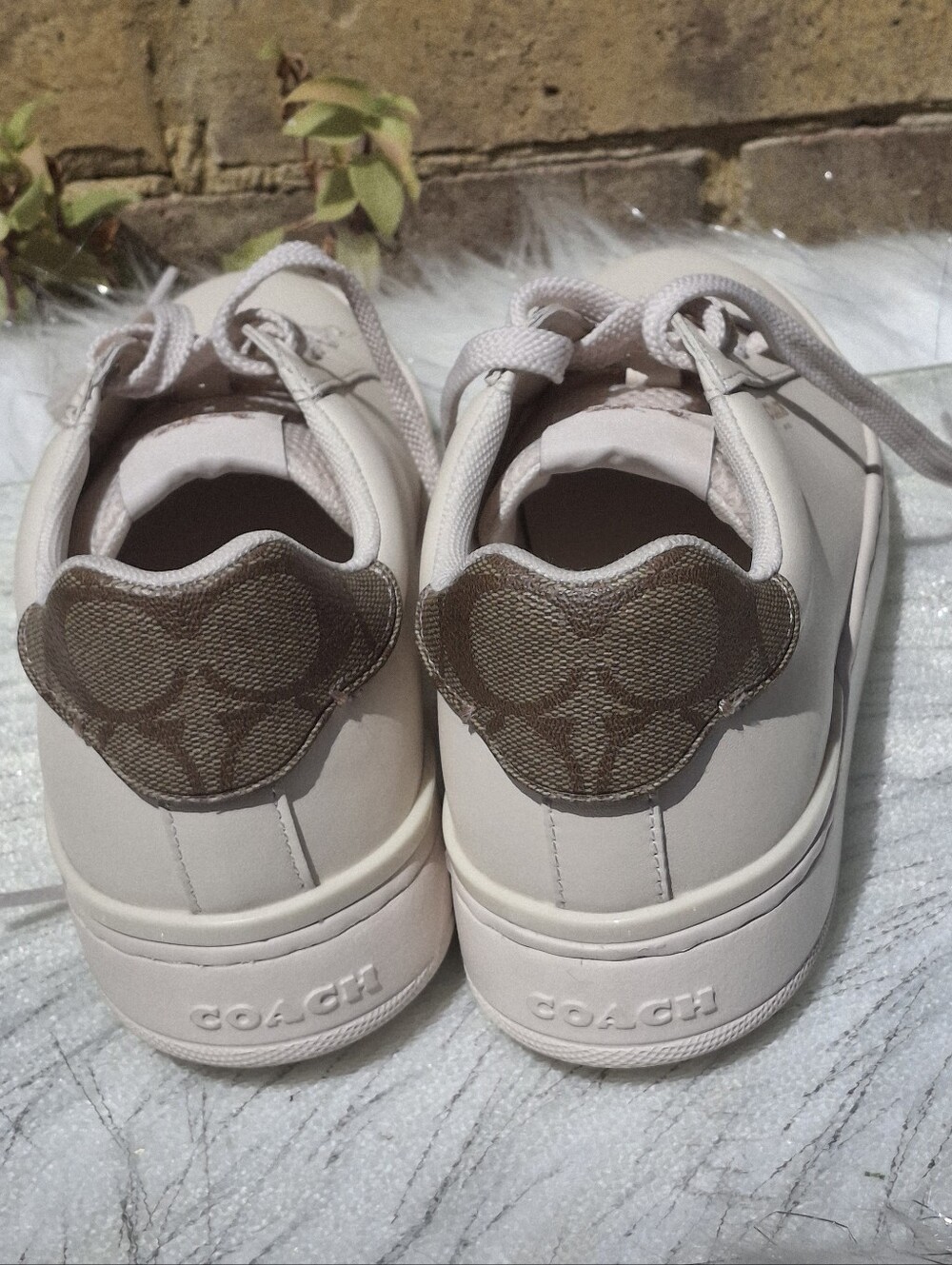 Coach Clip Leather Low-Top Lace-Up Sneakers Chalk Khaki Women Size 7 - Picture 10 of 16